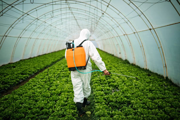 Best Affordable Pest Control Services  in Flat Rock, NC