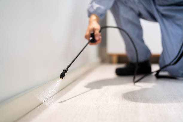 Best Pest Removal Services  in Flat Rock, NC