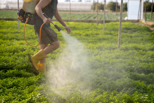 Best Local Pest Control Services  in Flat Rock, NC