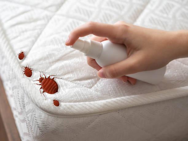 Best Ant Control Services  in Flat Rock, NC