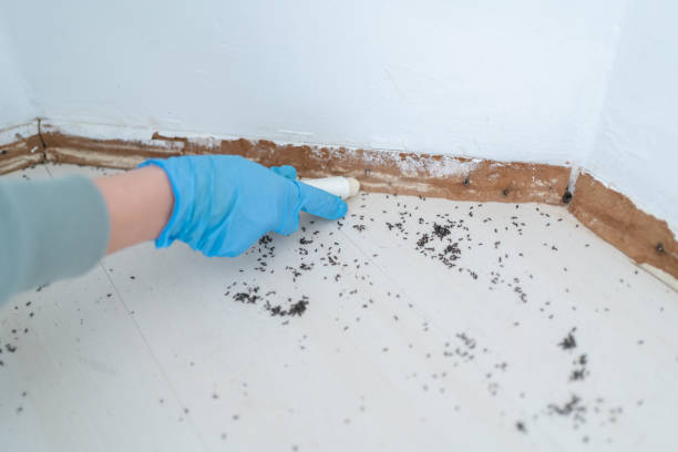 Flat Rock, NC Pest Control Company