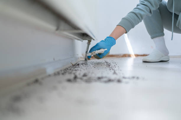 Best Pest Control Treatment  in Flat Rock, NC